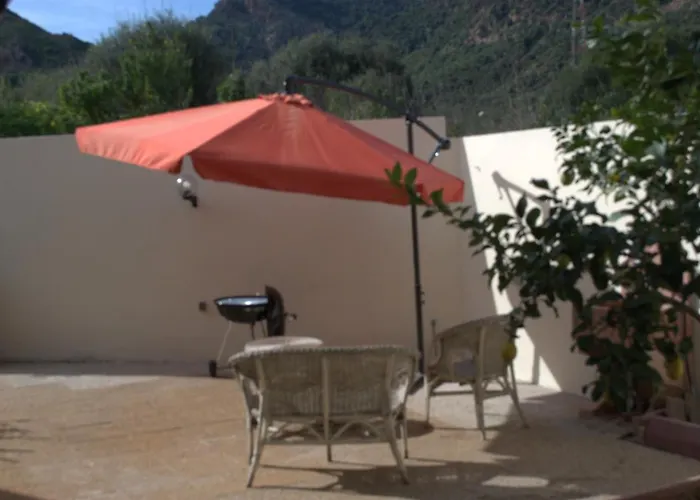 Elaia House